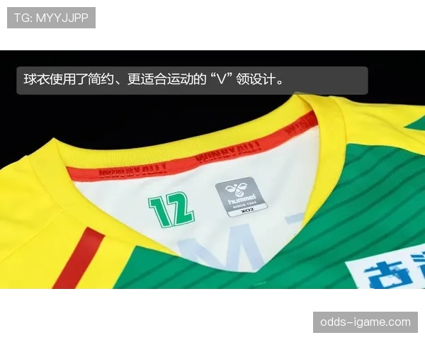 足球球衣收藏热潮升温，专家支招如何科学投资与妥善保养珍贵战袍