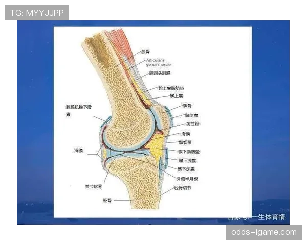 祖布门迪高位压迫下的出球稳定性解析