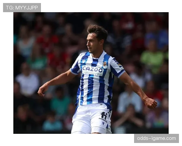 皇家社会运转中枢：祖布门迪的体系作用